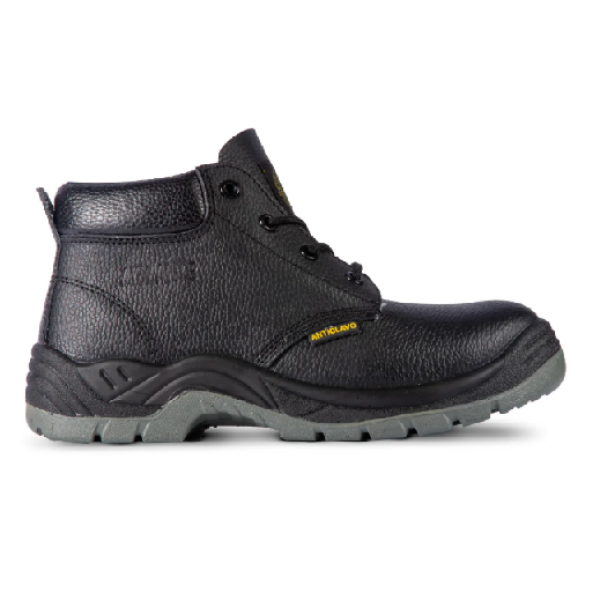 BOTIN SEGURIDAD BASICO
